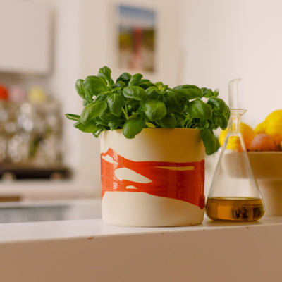 Planter - Splash Red