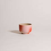 Matcha Cup – Gradient